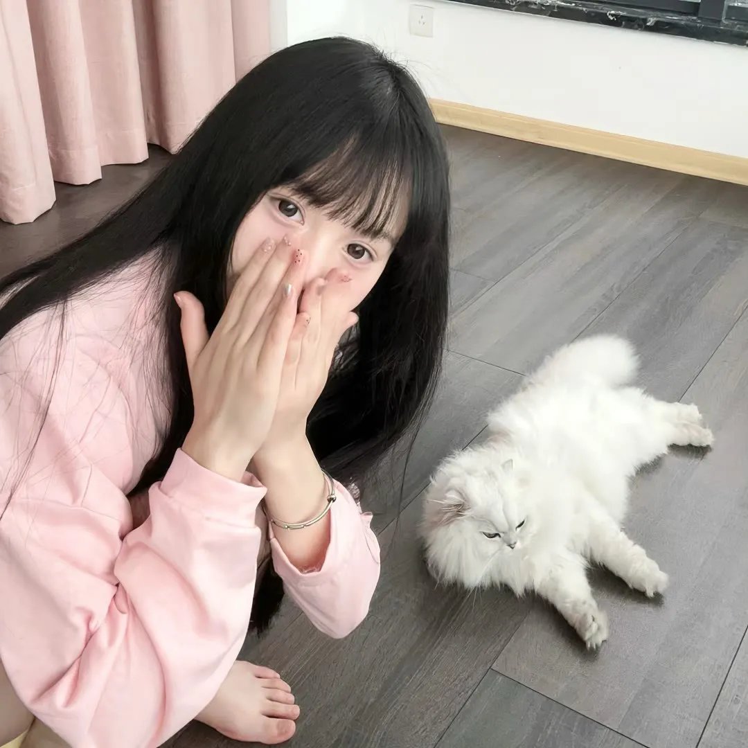 美妙旋律第九季